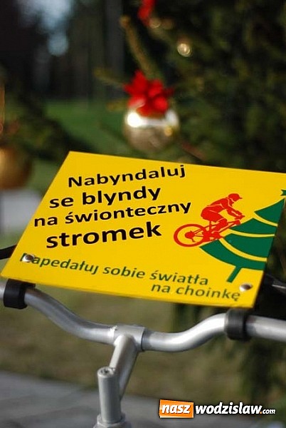 Zdjęcie w galerii na portalu naszwodzislaw.com: „Nabyndaluj se blyndy na świonteczny stromek”, czyli nietypowa choinka w Rydułtowach wiadomości z regionu