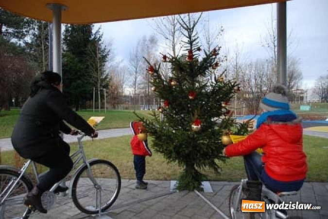 Zdjęcie w galerii na portalu naszwodzislaw.com: „Nabyndaluj se blyndy na świonteczny stromek”, czyli nietypowa choinka w Rydułtowach wiadomości z regionu