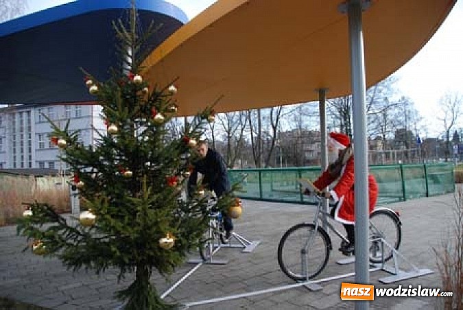 Zdjęcie w galerii na portalu naszwodzislaw.com: „Nabyndaluj se blyndy na świonteczny stromek”, czyli nietypowa choinka w Rydułtowach wiadomości z regionu