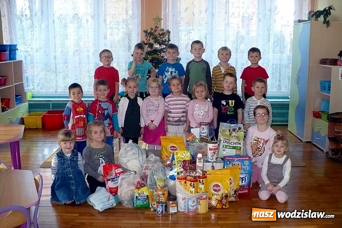 Zdjęcie w galerii na portalu naszwodzislaw.com: PP nr 6 wsparło przytulisko w Wodzisławiu  wiadomości z regionu