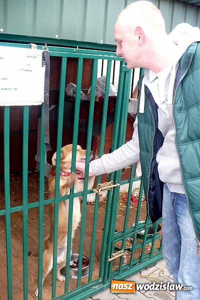 Zdjęcie w galerii na portalu naszwodzislaw.com: PP nr 6 wsparło przytulisko w Wodzisławiu  wiadomości z regionu