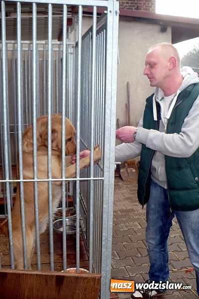 Zdjęcie w galerii na portalu naszwodzislaw.com: PP nr 6 wsparło przytulisko w Wodzisławiu  wiadomości z regionu