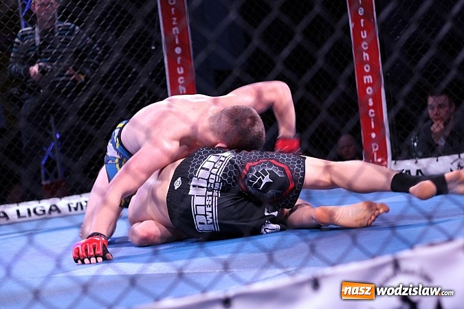 Zdjęcie w galerii na portalu naszwodzislaw.com: Gala MMA odbyła się w radlińskiej hali MOSiR  wiadomości z regionu