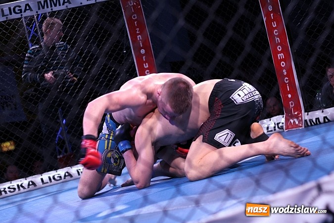 Zdjęcie w galerii na portalu naszwodzislaw.com: Gala MMA odbyła się w radlińskiej hali MOSiR  wiadomości z regionu