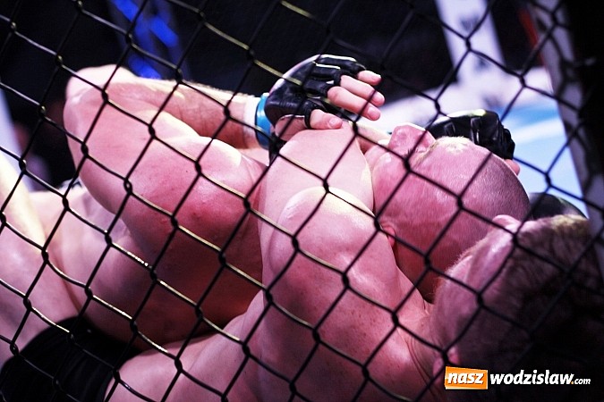 Zdjęcie w galerii na portalu naszwodzislaw.com: Gala MMA odbyła się w radlińskiej hali MOSiR  wiadomości z regionu