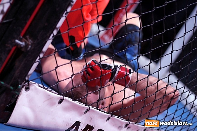 Zdjęcie w galerii na portalu naszwodzislaw.com: Gala MMA odbyła się w radlińskiej hali MOSiR  wiadomości z regionu