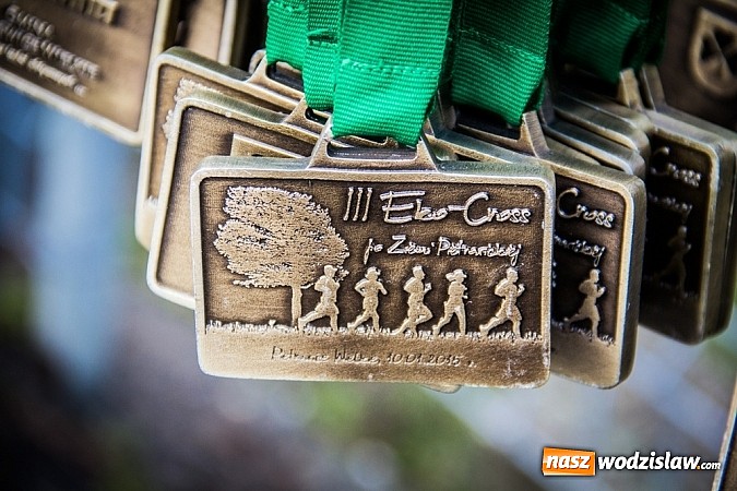 Zdjęcie w galerii na portalu naszwodzislaw.com: Rekordowy bieg Eko-Cross po Ziemi Pietrowickiej wiadomości z regionu