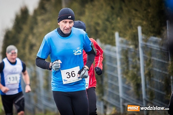 Zdjęcie w galerii na portalu naszwodzislaw.com: Rekordowy bieg Eko-Cross po Ziemi Pietrowickiej wiadomości z regionu