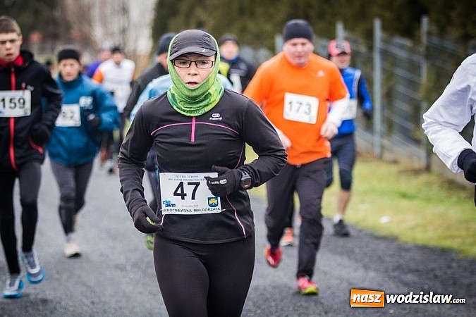 Zdjęcie w galerii na portalu naszwodzislaw.com: Rekordowy bieg Eko-Cross po Ziemi Pietrowickiej wiadomości z regionu