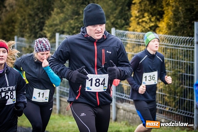 Zdjęcie w galerii na portalu naszwodzislaw.com: Rekordowy bieg Eko-Cross po Ziemi Pietrowickiej wiadomości z regionu