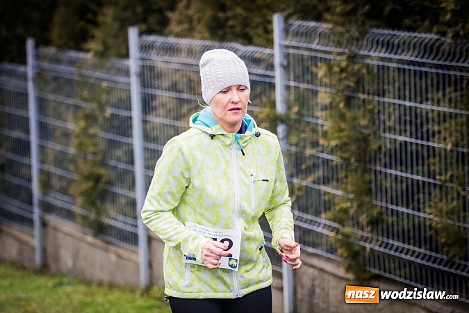 Zdjęcie w galerii na portalu naszwodzislaw.com: Rekordowy bieg Eko-Cross po Ziemi Pietrowickiej wiadomości z regionu