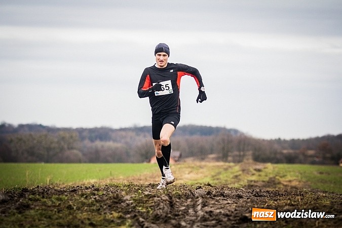 Zdjęcie w galerii na portalu naszwodzislaw.com: Rekordowy bieg Eko-Cross po Ziemi Pietrowickiej wiadomości z regionu