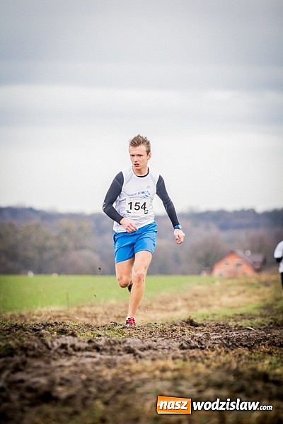 Zdjęcie w galerii na portalu naszwodzislaw.com: Rekordowy bieg Eko-Cross po Ziemi Pietrowickiej wiadomości z regionu