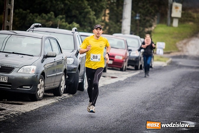 Zdjęcie w galerii na portalu naszwodzislaw.com: Rekordowy bieg Eko-Cross po Ziemi Pietrowickiej wiadomości z regionu