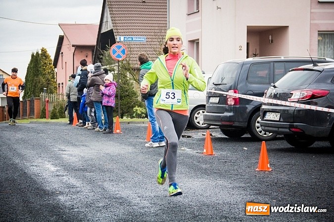 Zdjęcie w galerii na portalu naszwodzislaw.com: Rekordowy bieg Eko-Cross po Ziemi Pietrowickiej wiadomości z regionu
