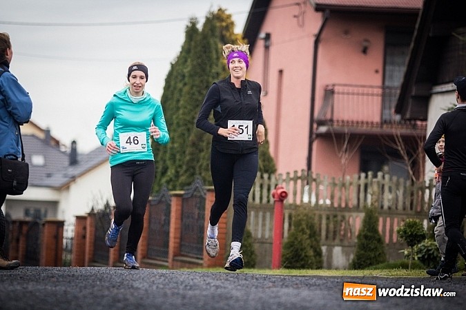 Zdjęcie w galerii na portalu naszwodzislaw.com: Rekordowy bieg Eko-Cross po Ziemi Pietrowickiej wiadomości z regionu