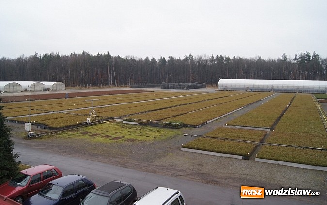 Zdjęcie w galerii na portalu naszwodzislaw.com: Szkółka kontenerowa ciekawym punktem na mapie gminy Nędza wiadomości z regionu