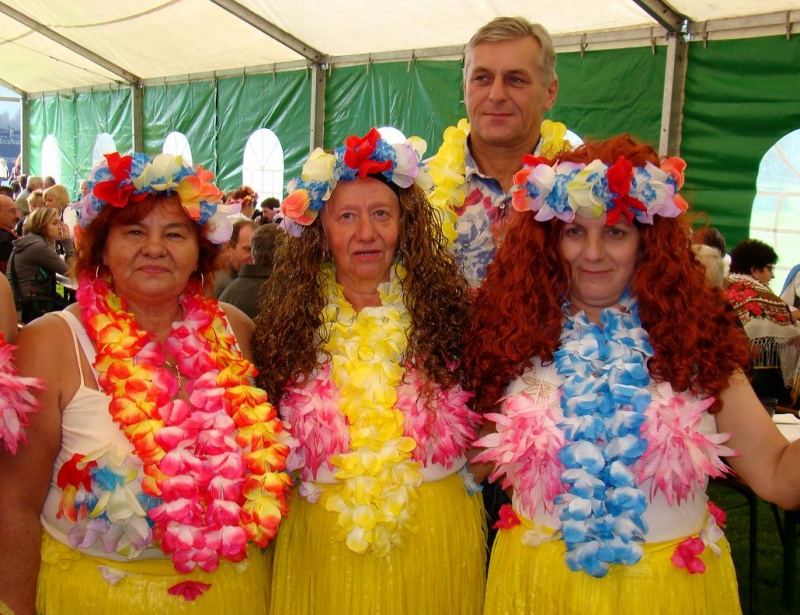 Zdjęcie w galerii na portalu naszwodzislaw.com: Pszów gospodarzem dożynek wiadomości z regionu