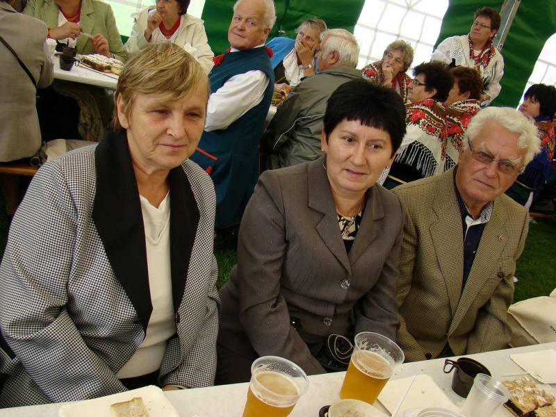 Zdjęcie w galerii na portalu naszwodzislaw.com: Pszów gospodarzem dożynek wiadomości z regionu