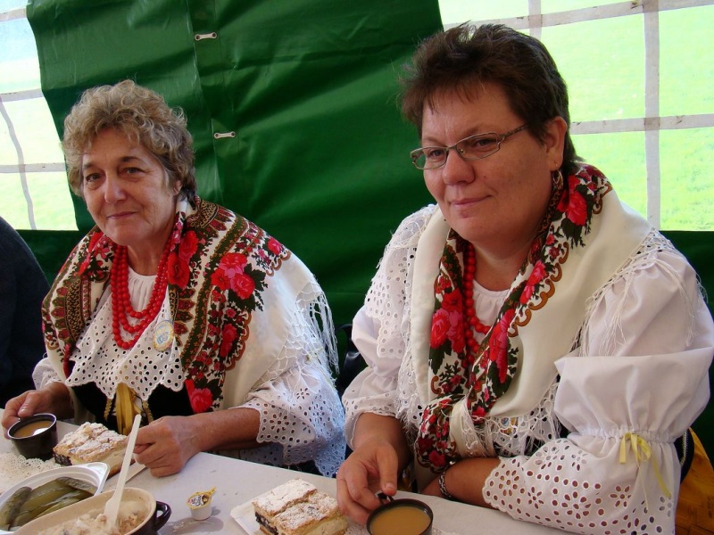 Zdjęcie w galerii na portalu naszwodzislaw.com: Pszów gospodarzem dożynek wiadomości z regionu