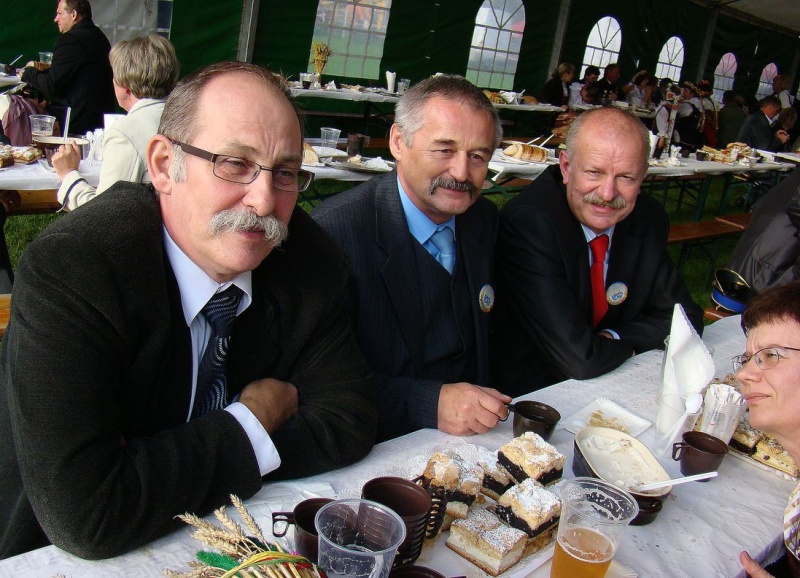 Zdjęcie w galerii na portalu naszwodzislaw.com: Pszów gospodarzem dożynek wiadomości z regionu