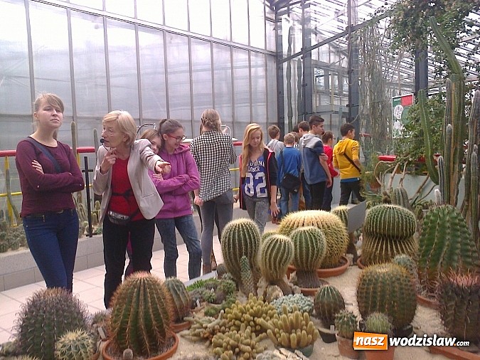 Zdjęcie w galerii na portalu naszwodzislaw.com: 350. uczniów G1 w Wodzisławiu Śląskim uczestniczyło w 46. różnorodnych zajęciach edukacyjnych wiadomości z regionu