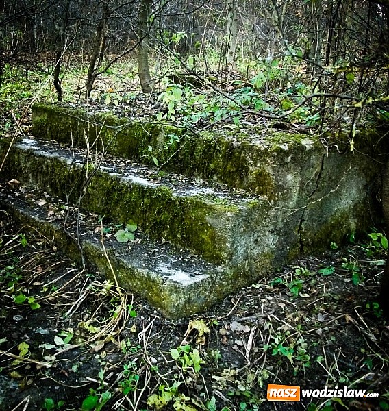 Zdjęcie w galerii na portalu naszwodzislaw.com: Weź udział w konkursie i przyczyń się do ochrony środowiska wiadomości z regionu