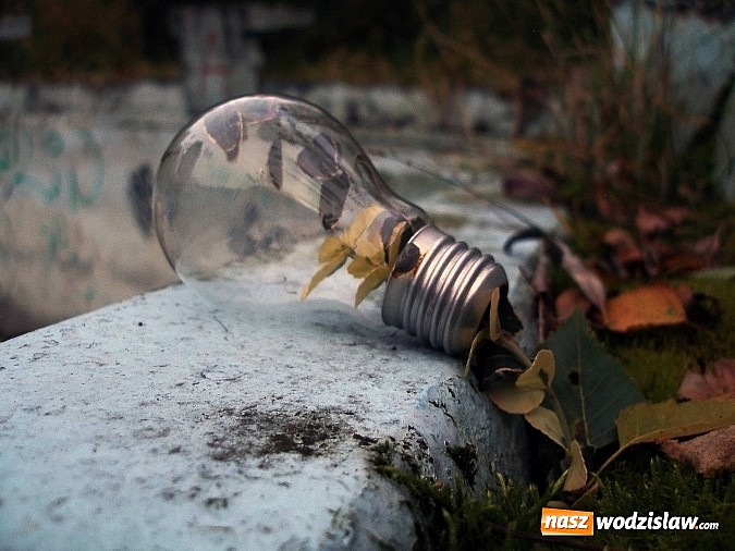 Zdjęcie w galerii na portalu naszwodzislaw.com: Weź udział w konkursie i przyczyń się do ochrony środowiska wiadomości z regionu