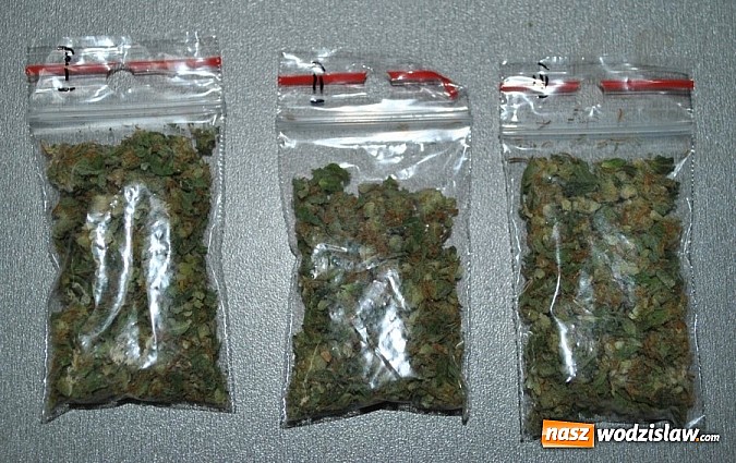 Zdjęcie w galerii na portalu naszwodzislaw.com: Rydułtowianin został zatrzymany za posiadanie marihuany. Teraz grozi mu do 10 lat więzienia wiadomości z regionu