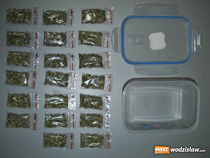 Zdjęcie w galerii na portalu naszwodzislaw.com: Rydułtowianin został zatrzymany za posiadanie marihuany. Teraz grozi mu do 10 lat więzienia wiadomości z regionu