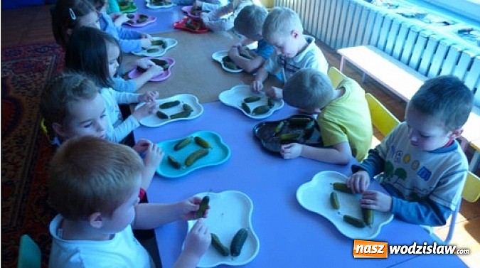 Zdjęcie w galerii na portalu naszwodzislaw.com: Nauka poprzez zabawy badawcze w PP nr 16 w Wodzisławiu Śląskim  wiadomości z regionu