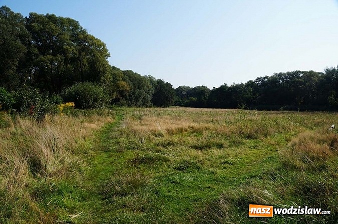 Zdjęcie w galerii na portalu naszwodzislaw.com: Miasto Wodzisław Śląski sprzedaje nieruchomości  wiadomości z regionu