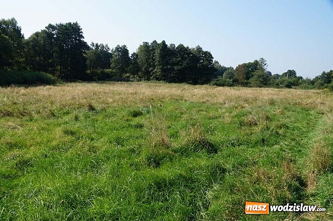 Zdjęcie w galerii na portalu naszwodzislaw.com: Miasto Wodzisław Śląski sprzedaje nieruchomości  wiadomości z regionu