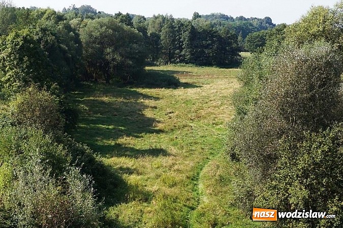 Zdjęcie w galerii na portalu naszwodzislaw.com: Miasto Wodzisław Śląski sprzedaje nieruchomości  wiadomości z regionu