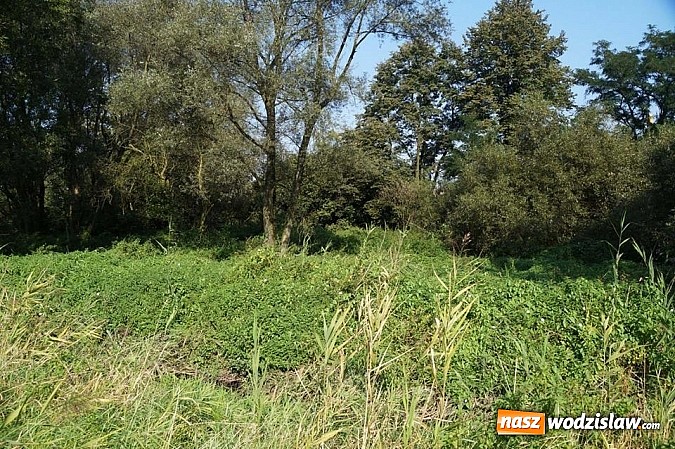 Zdjęcie w galerii na portalu naszwodzislaw.com: Miasto Wodzisław Śląski sprzedaje nieruchomości  wiadomości z regionu