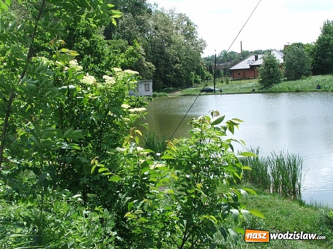 Zdjęcie w galerii na portalu naszwodzislaw.com: Machnikowiec w Rydułtowach się zmieni - zadbają o to studenci PWSZ w Raciborzu wiadomości z regionu