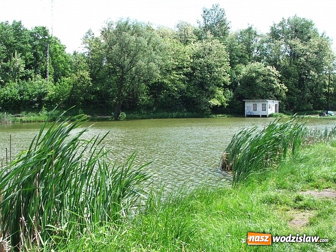 Zdjęcie w galerii na portalu naszwodzislaw.com: Machnikowiec w Rydułtowach się zmieni - zadbają o to studenci PWSZ w Raciborzu wiadomości z regionu