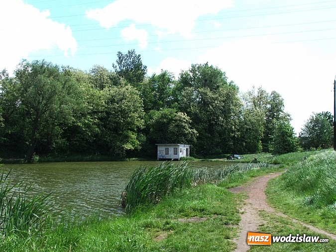Zdjęcie w galerii na portalu naszwodzislaw.com: Machnikowiec w Rydułtowach się zmieni - zadbają o to studenci PWSZ w Raciborzu wiadomości z regionu