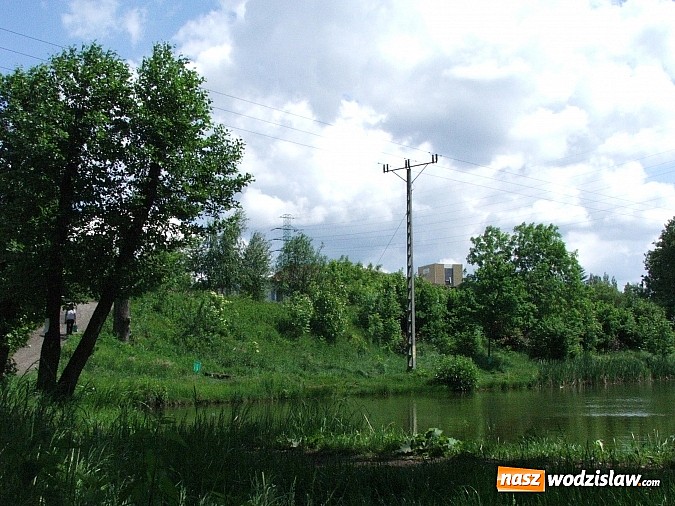 Zdjęcie w galerii na portalu naszwodzislaw.com: Machnikowiec w Rydułtowach się zmieni - zadbają o to studenci PWSZ w Raciborzu wiadomości z regionu