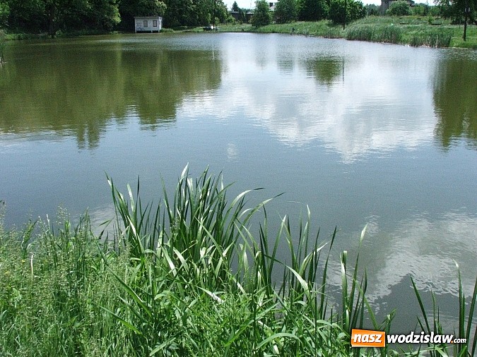 Zdjęcie w galerii na portalu naszwodzislaw.com: Machnikowiec w Rydułtowach się zmieni - zadbają o to studenci PWSZ w Raciborzu wiadomości z regionu