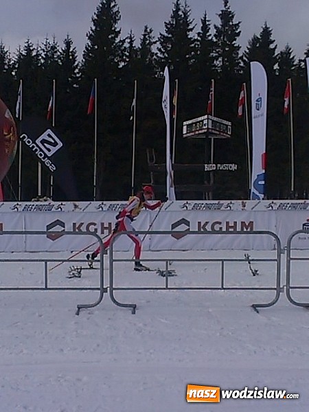 Zdjęcie w galerii na portalu naszwodzislaw.com: Dominika Bielecka Mistrzynią Polski Seniorek na 30km stylem klasycznym  wiadomości z regionu