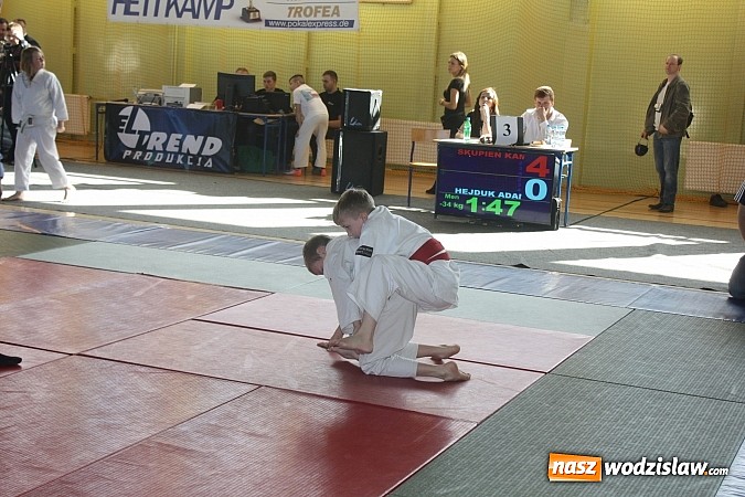 Zdjęcie w galerii na portalu naszwodzislaw.com: Zawodnicy Octagon Team zdobyli kolejne medale  wiadomości z regionu