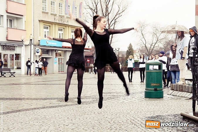 Zdjęcie w galerii na portalu naszwodzislaw.com: Dni otwarte w PWSZ w Raciborzu wiadomości z regionu