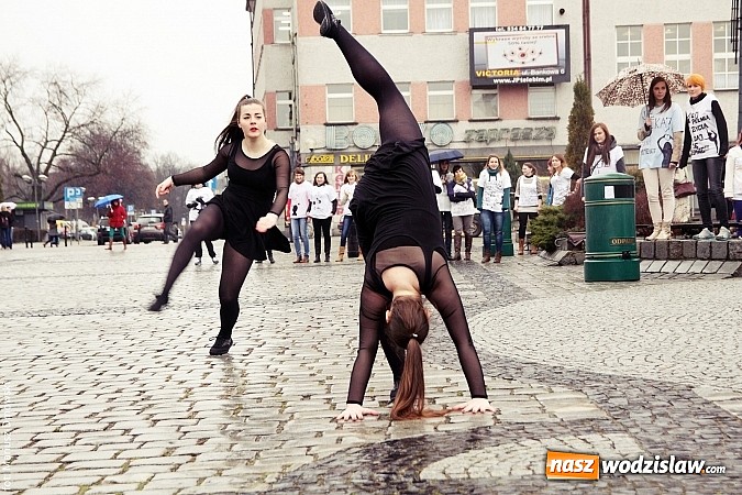 Zdjęcie w galerii na portalu naszwodzislaw.com: Dni otwarte w PWSZ w Raciborzu wiadomości z regionu