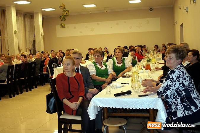 Zdjęcie w galerii na portalu naszwodzislaw.com: Z okazji Dnia Kobiet bawiły się panie z Koła Gospodyń Wiejskich w Mszanie i Połomi wiadomości z regionu