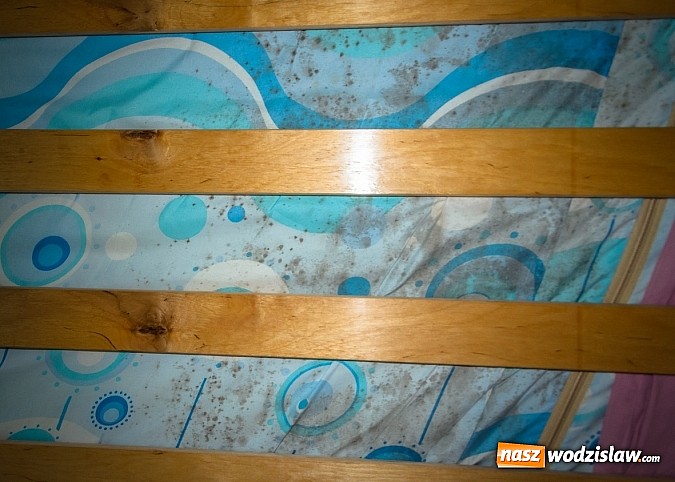 Zdjęcie w galerii na portalu naszwodzislaw.com: Stowarzyszenie Piękne Anioły remontuje pokój rodziny ze Skrzyszowa. Pomóc przy tym projekcie może każdy wiadomości z regionu