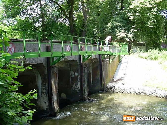 Zdjęcie w galerii na portalu naszwodzislaw.com: Urzędnicy patrzyli jak rolnik na żyrafę. A jednak wkrótce ruszy - pierwsza elektrownia wodna w powiecie raciborskim wiadomości z regionu