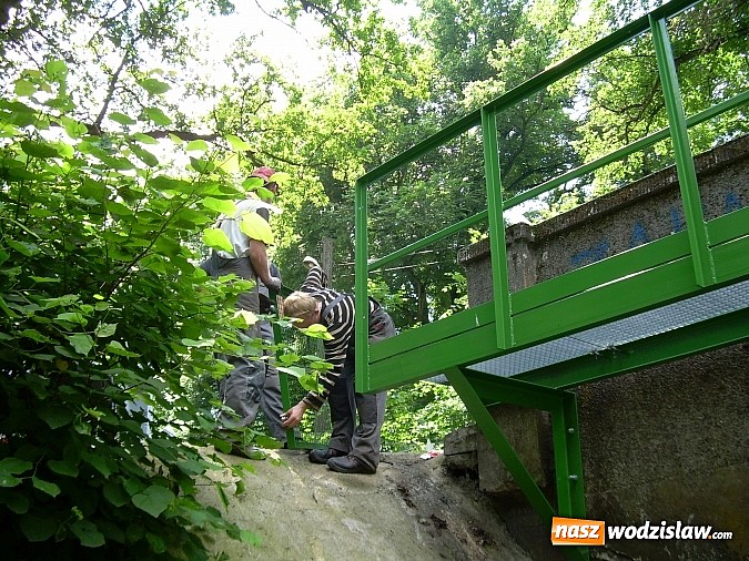 Zdjęcie w galerii na portalu naszwodzislaw.com: Urzędnicy patrzyli jak rolnik na żyrafę. A jednak wkrótce ruszy - pierwsza elektrownia wodna w powiecie raciborskim wiadomości z regionu