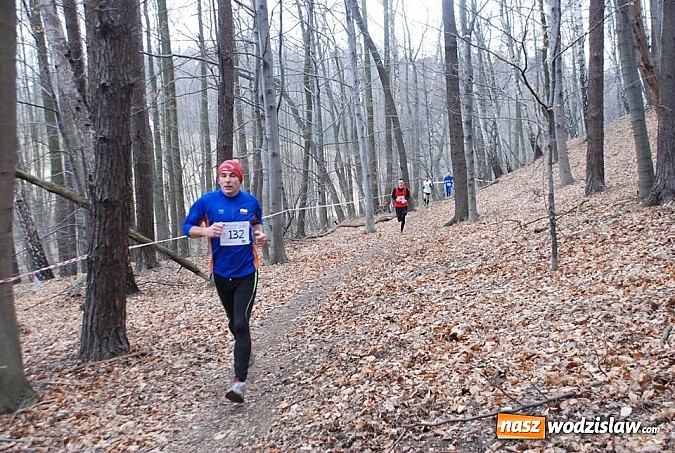 Zdjęcie w galerii na portalu naszwodzislaw.com: VII edycja Błękitnej wstęgi Balatonu za nami wiadomości z regionu