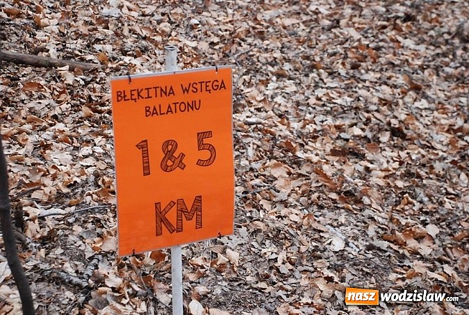 Zdjęcie w galerii na portalu naszwodzislaw.com: VII edycja Błękitnej wstęgi Balatonu za nami wiadomości z regionu